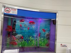 -雅悦齿科(顾村公园店)