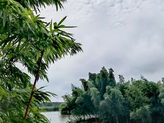 -沙家浜风景区