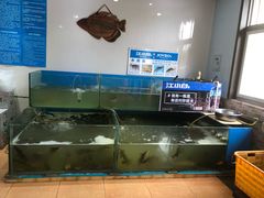 水产区-大鹅岛灶台鱼·铁锅炖(水库路店)