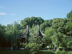 -八大山人梅湖景区