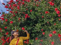-中国大熊猫保护研究中心雅安碧峰峡基地