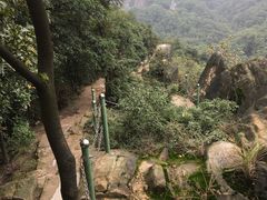 -南山植物园