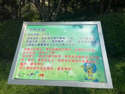 -酷酷兔少儿拓展天地