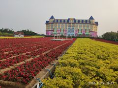 -百万葵园