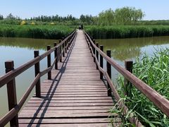 -西青郊野公园