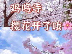 -鸡鸣寺