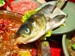 -谭鸭血老火锅(漳州路店)