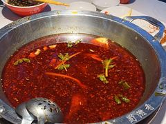 -蜀滋香鲜鱼美蛙火锅(339店)