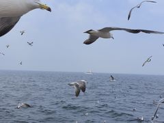 -大连海昌东方水城