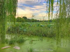 -北京拉斐特城堡酒店