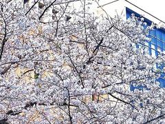 -浙江大学(玉泉校区)