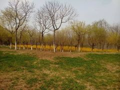 iphone_upload_pic-秀水公园