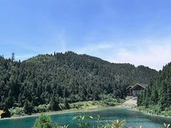 -武陵山森林公园