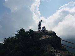 -牛背梁国家森林公园