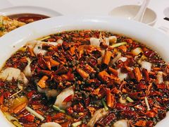 水煮鲈鱼-眉州东坡(华联万柳店)