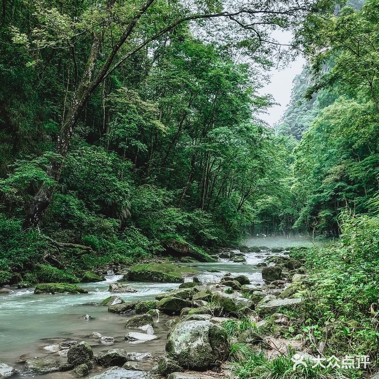 张家界国家森林公园·零基础上手轻松玩转😁