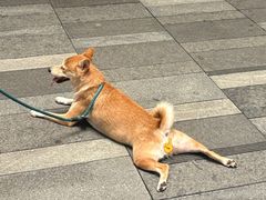 -一家人面馆(三条巷店)