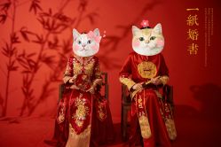 -帆拉斐婚纱摄影(春熙店)