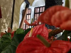 -玫瑰厅上海菜(兴国路店)