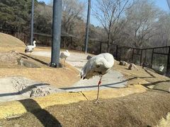 -沈阳森林动物园