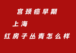 -复旦大学附属妇产科医院(杨浦院区)