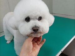 -北京观赏动物医院·24小时大型综合·猫专科·异宠专科