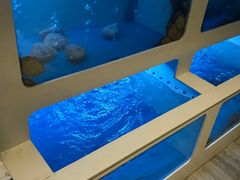 -质烤烤物·活烤海鲜(质烤总店)