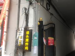 -猫头鹰炸鸡