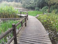 -成都市活水公园
