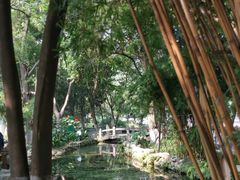 -成都市活水公园