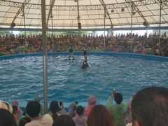 -尼莫海豚馆