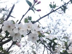 -武昌江滩