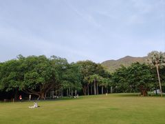 -深圳仙湖植物园