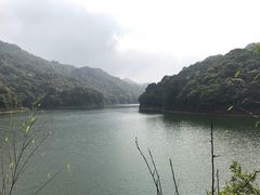 -广州市石门国家森林公园
