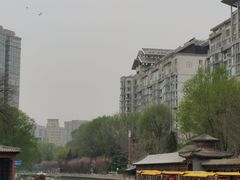 -皇家御河游(紫御湾码头)