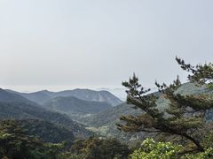 -金龙寺国家森林公园