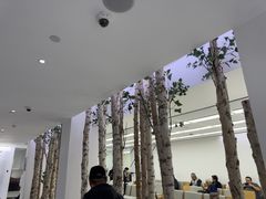 -极简口腔(总院)