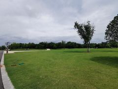 -盘龙城国家考古遗址公园