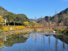 -广州市石门国家森林公园