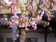 -莫愁湖公园