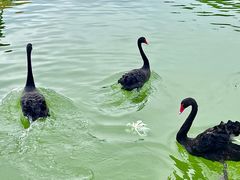 -水上乐园·欢乐世界