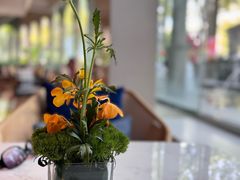 -深圳威尼斯英迪格酒店-邻芙花廊下午茶·NINFA GALLERY·蛋糕·咖啡