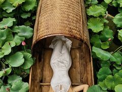 -花之城