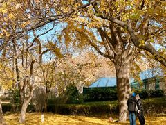 -八大关景区