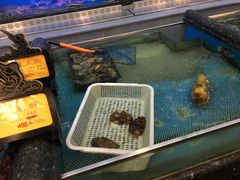 -万宝海鲜舫(劳动公园店)