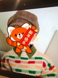 点击看大图 -爱儿美儿童摄影(五路居花园别墅店)