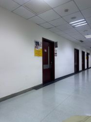 -复旦大学附属妇产科医院(杨浦院区)