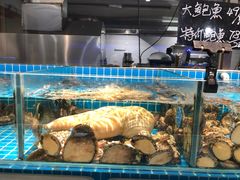 -小海丁
