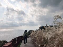 -柱状节理带