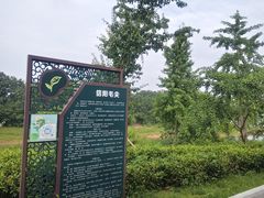 -南湾湖